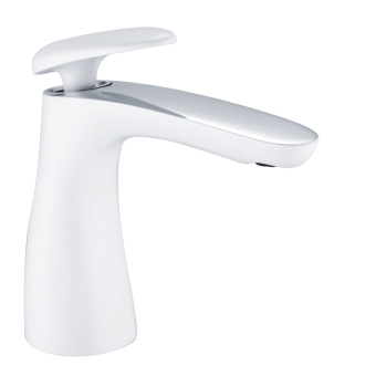R2401F(1)