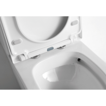ceramalux-ns-2178-unitaz-napolnyiy-2