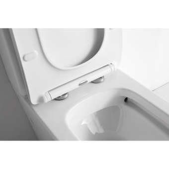 ceramalux-ns-2170-unitaz-napolnyiy-2