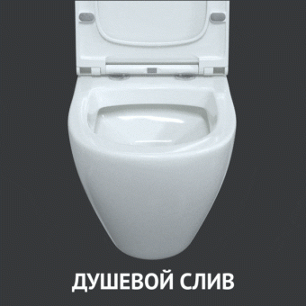 OKUS_gif1